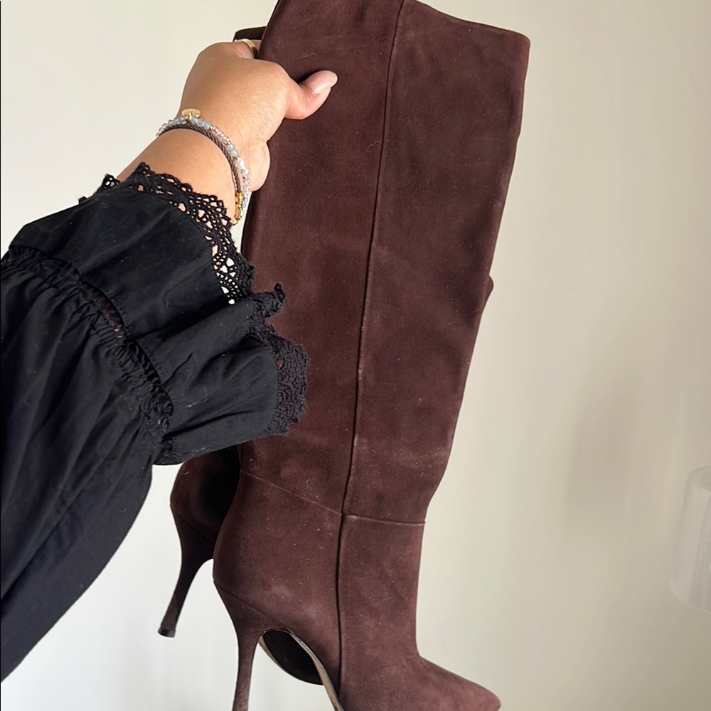 Larroude Kate Pointed Toe Tall Boots in Brown Suede